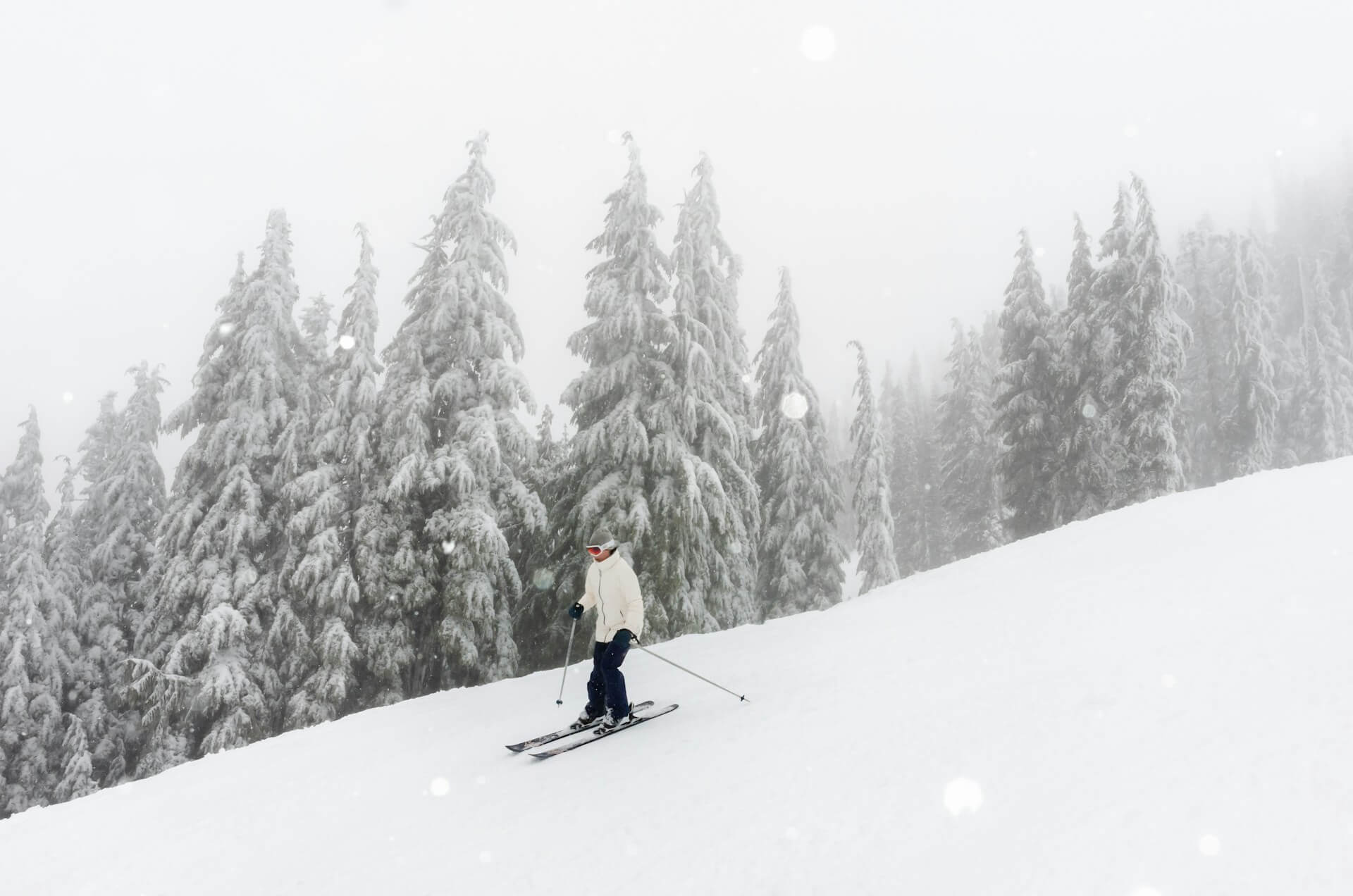 Greg rosenke z9jpjtposgc unsplash